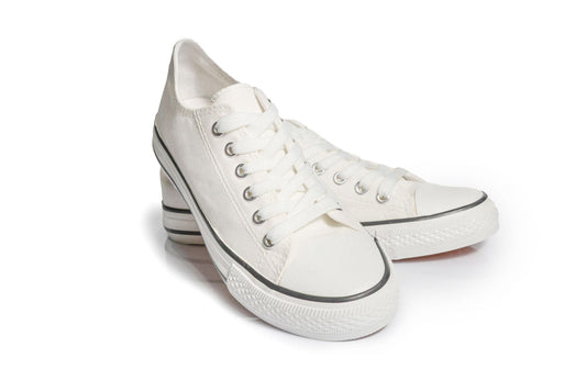 Canvas/ Cotton